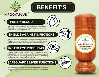 Sugar Balance Wooden Water Glass (100% Natural) - Image 3